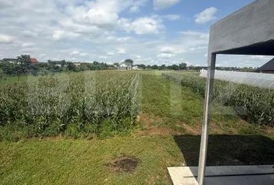 Casă cu 4 camere cu Teren 8000 Mp în Central - 6