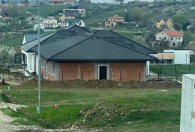 Spațiu comercial, în Săldăbagiu de Munte - 7