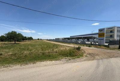 Teren de 10000 mp, în Brănești - 7