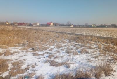 Teren intravilan 532 mp in Bod - 3