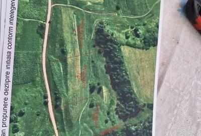 Spațiu comercial, în Slimnic - 1