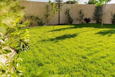 Casă individuală cu 6 camere cu Canalizare în Pipera - 17