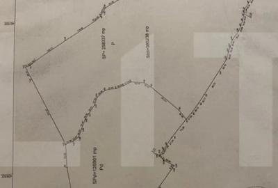 Teren de 400000 mp, în Someșeni - 2