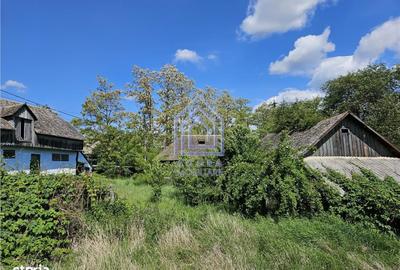 Spațiu comercial, în Drăgușeni - 6