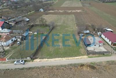 Teren de 4000 mp, în Bazga - 7