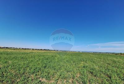 Teren intravilan Maracineni / Strada Manga - 6