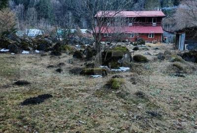 Casă individuală cu 9 camere cu Teren 3800 Mp în Glăjărie - 1