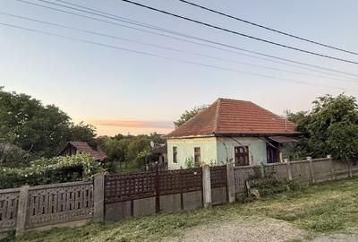 Casă cu 4 camere în Dobra