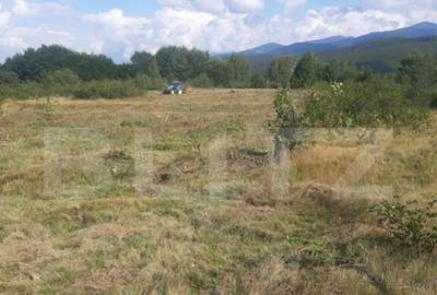 Teren extravilan 3300 mp, Car?i?oara- Set - 18