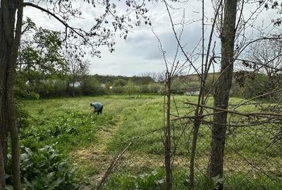 Teren Construcții intravilan de 2250 mp, în Borănești - 7