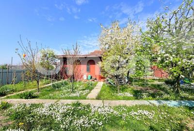 Casă cu 3 camere în Iadăra - 1