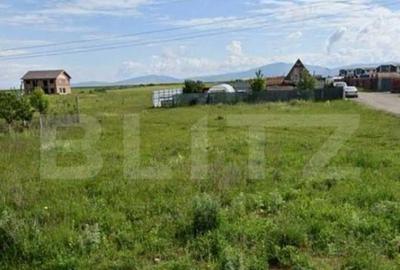 Teren de 500 mp, în Tărlungeni