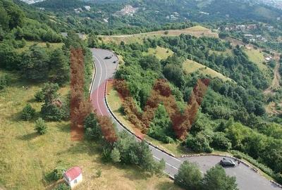 Teren Construcții intravilan de 6714 mp, în Drumul Poienii