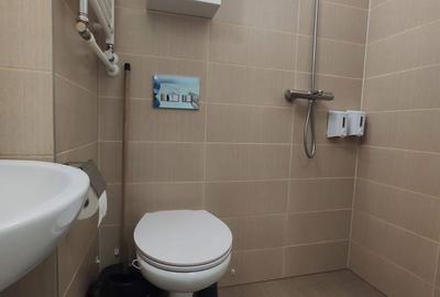 Garsonieră decomandată în Craiovița Nouă - 2