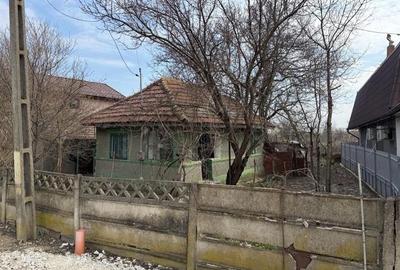 Casă cu 3 camere cu Teren 2000 Mp în Tomșani - 5