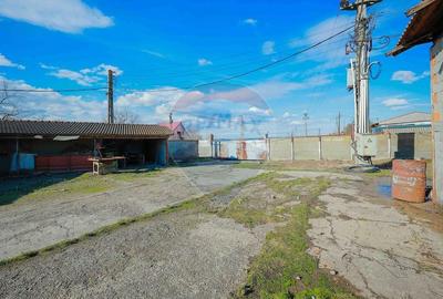 Spațiu industrial, de 820 mp, în Tilecuș - 12