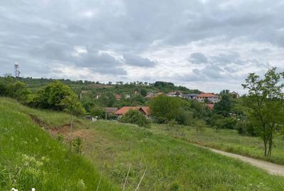 Teren de 867 mp, în Paleu - 5