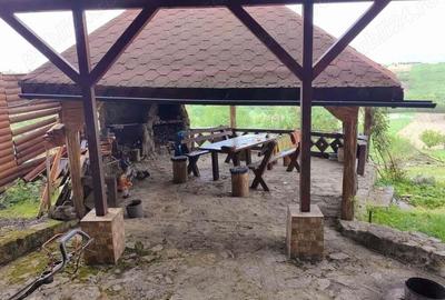 Cabana de lemn in zona turistica Bihor - 2