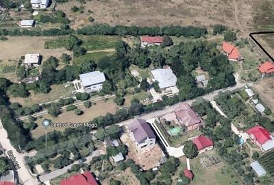 Mogosoaia, str Ariei, nr 2 - 1