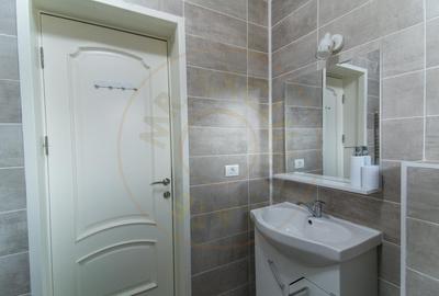 Casa de vacanta sau rezidentiala cu lac si ciubar Nucsoara-Arges - 3