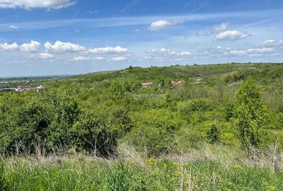 Teren de 8200 mp, în Lugoj - 3