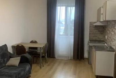 Apartament cu 2 camere semidecomandat, mobilat în Bariera Vâlcii - 7