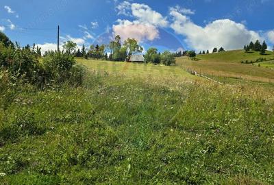 Teren de vis in Fundata 1934mp sau 3868mp, la inal?imea sufletului tau - 1