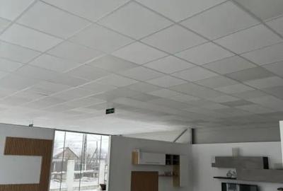 Spațiu comercial, de 460 mp, în Giubega - 10