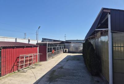 Teren de 4000 mp, în Ișalnița - 2