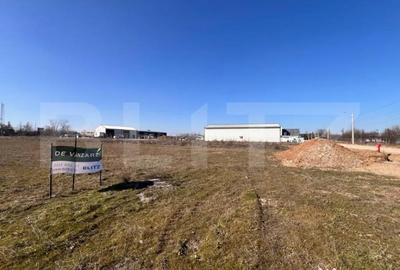 Teren de 12418 mp, în Cârcea