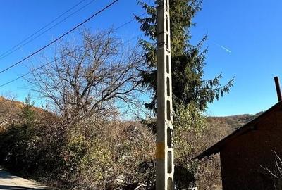 Teren 4044mp, 18 km de Campina, asfalt, utilitati, pretabil investitie - 7