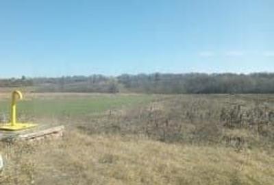 Spațiu comercial, în Podu Broșteni - 3