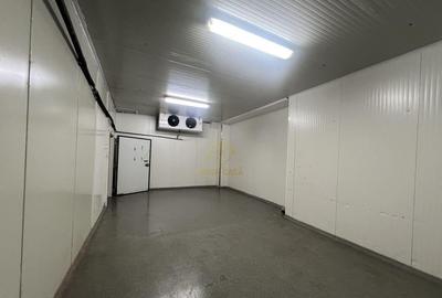 De inchiriat Camere Frigo Congelare/Refrigerare-Suprafete... - 5