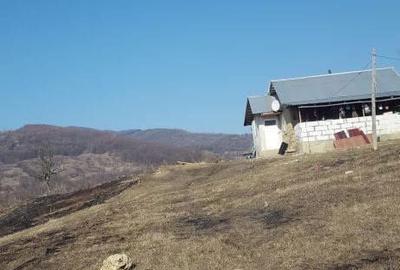 Teren de 6200 mp, în Viperești - 3