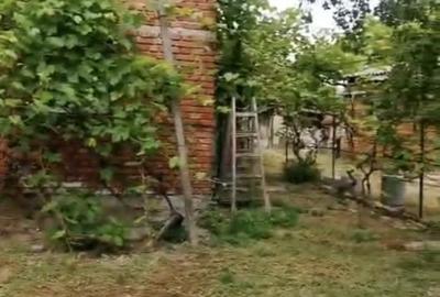 Casă cu 4 camere în Crivina - 2
