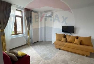 Proprietate specială, de 433 mp, în Plevnei - 2