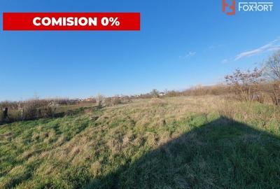 COMISION 0% Casa individuala cu teren de 3930 mp - Padureni - 6
