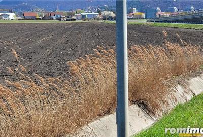 50.000mp teren intravilan, Clasa Master, in Brasov spre Stupini - 3