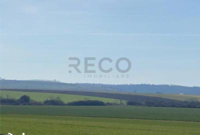 Teren de 42050 mp, în Tăut - 3