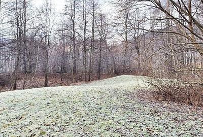 Teren Construcții intravilan de 1820 mp, în Bran - 5