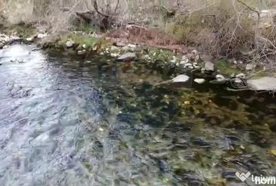 Teren în Rucăr - 7