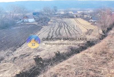 Teren de 10515 mp, în Bodești - 13