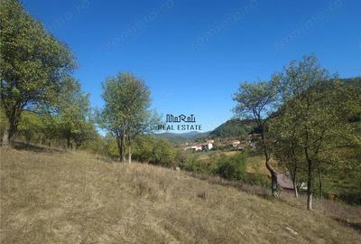 Teren de 1274 mp, în Criș - 6