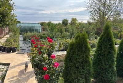 Casă cu 5 camere cu Teren 996 Mp în Central