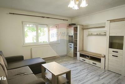 Apartament cu 2 camere semidecomandat în Vitrometan - 9