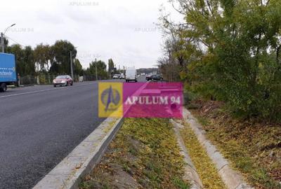 Teren de 13705 mp, în 1 Decembrie - 3