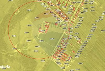 Spațiu comercial, în Armeni - 15