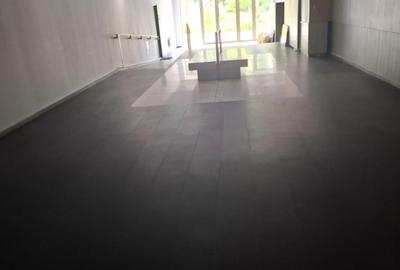 APARTAMENT 3 CAMERE AVIATIEI-SERBANESCU - 6