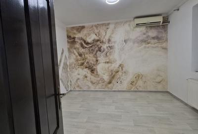 De vânzare Vilă individuala 11 camere curte proprie Parcul Carol - 20