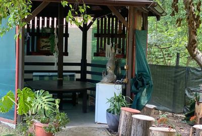 Casă cu 10 camere cu Teren 1400 Mp în Sărata - 16